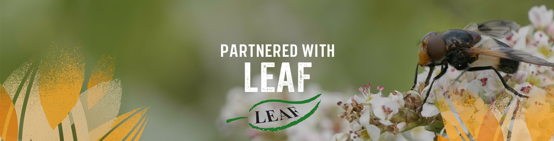 Partnered with LEAF