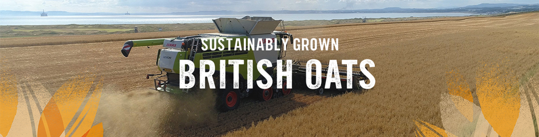Sustainability Grown British Qoats